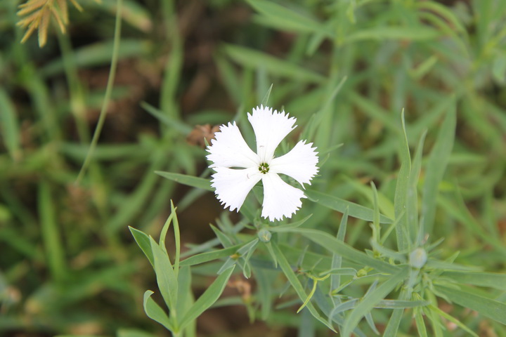 照片 106_调整大小.jpg