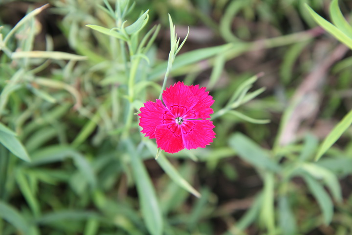 照片 107_调整大小.jpg