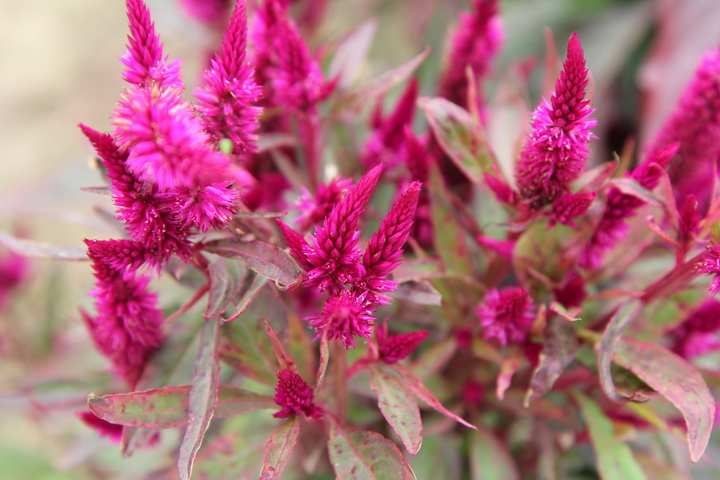 照片 108_调整大小.jpg