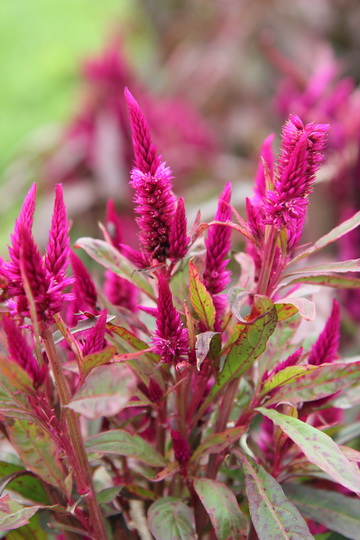 照片 109_调整大小.jpg