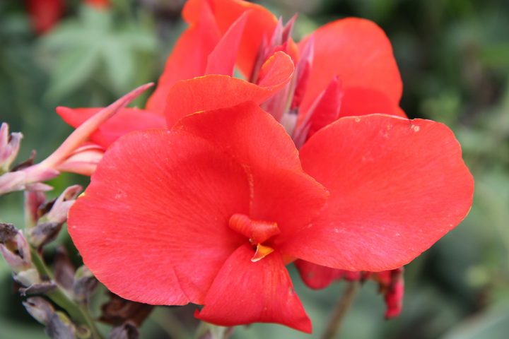 照片 111_调整大小.jpg