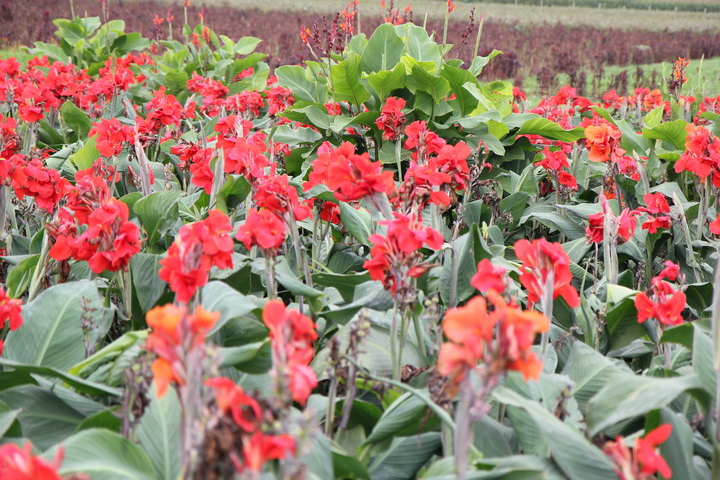 照片 112_调整大小.jpg