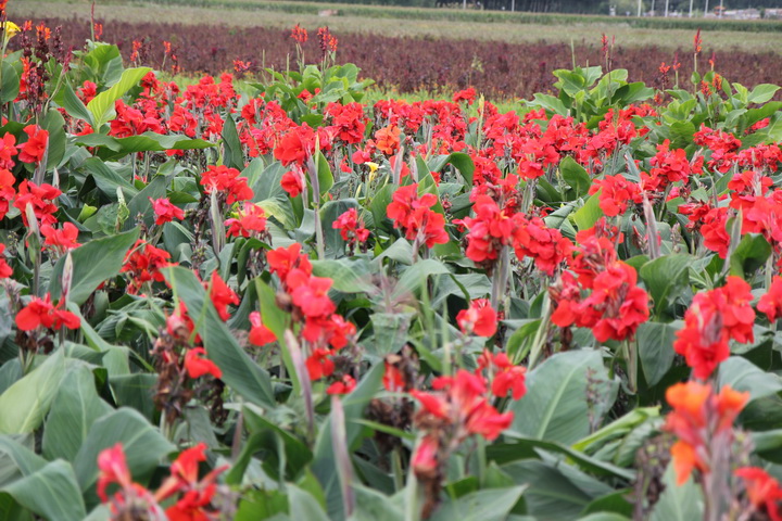 照片 113_调整大小.jpg