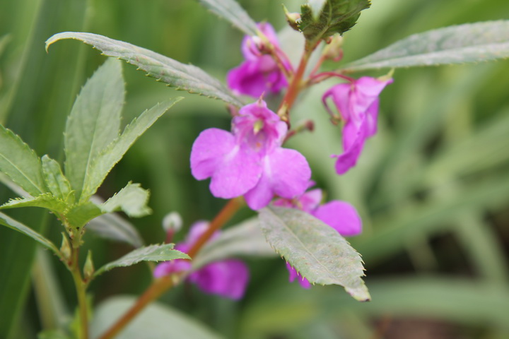 照片 114_调整大小.jpg