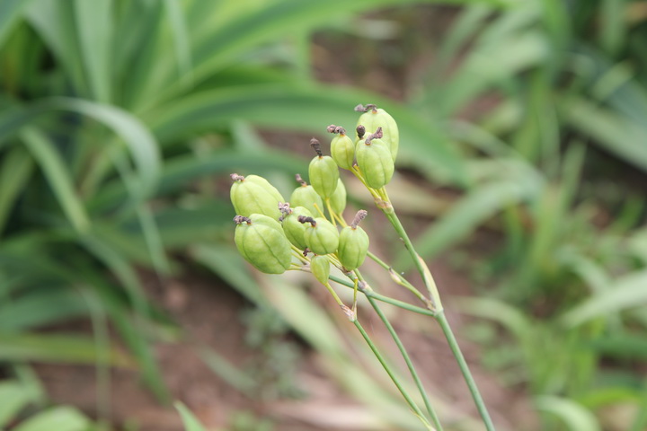 照片 115_调整大小.jpg