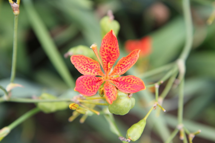 照片 116_调整大小.jpg