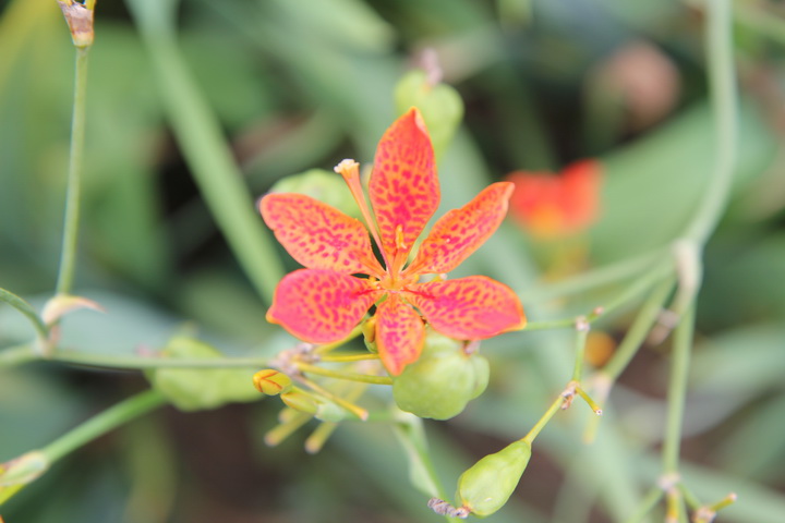 照片 117_调整大小.jpg