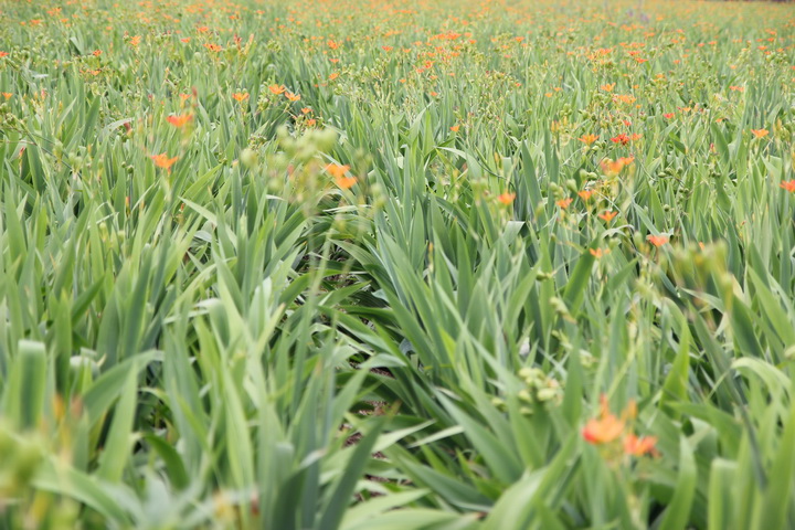 照片 118_调整大小.jpg