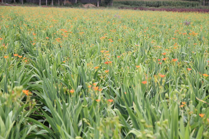 照片 119_调整大小.jpg