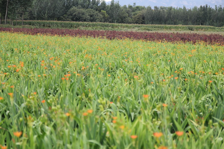 照片 120_调整大小.jpg