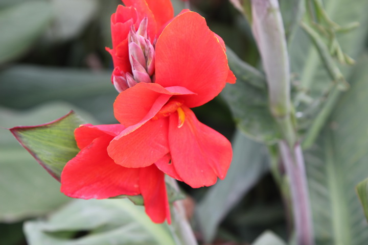 照片 121_调整大小.jpg