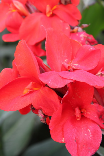 照片 122_调整大小.jpg