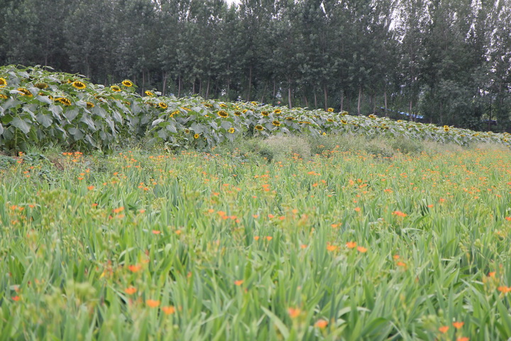 照片 123_调整大小.jpg