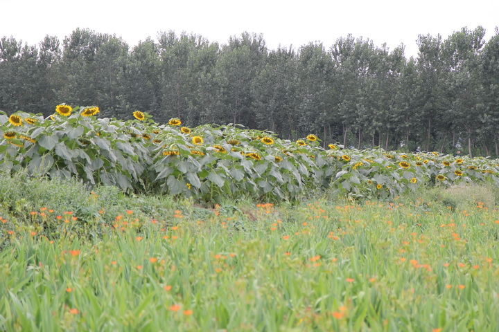 照片 124_调整大小.jpg