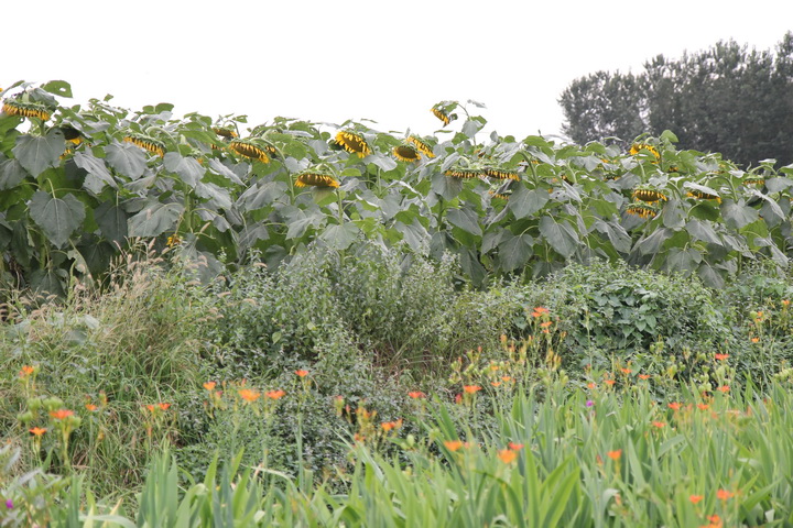 照片 125_调整大小.jpg