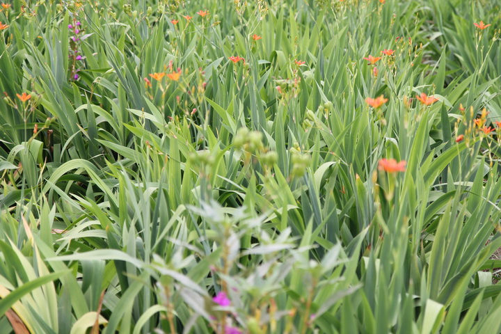 照片 127_调整大小.jpg