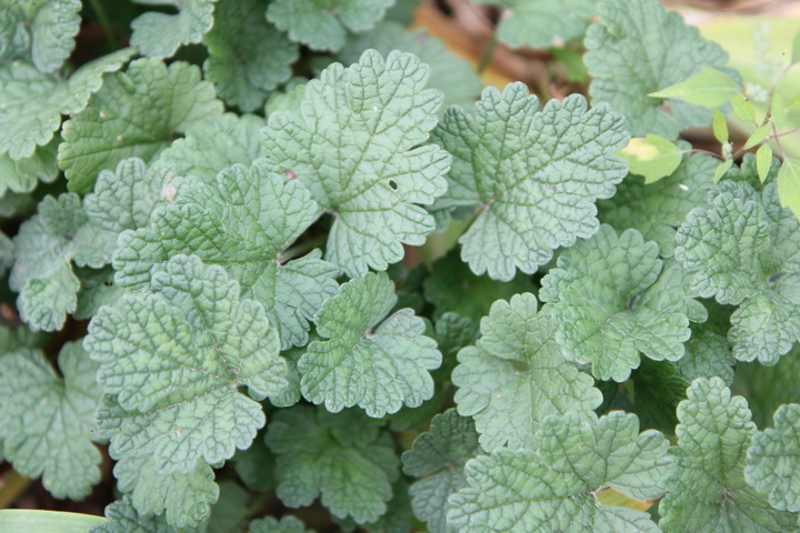 照片 128_调整大小.jpg