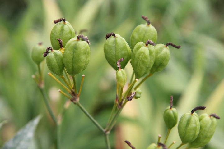 照片 129_调整大小.jpg