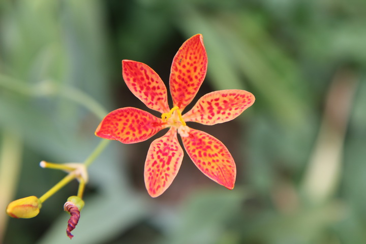 照片 130_调整大小.jpg