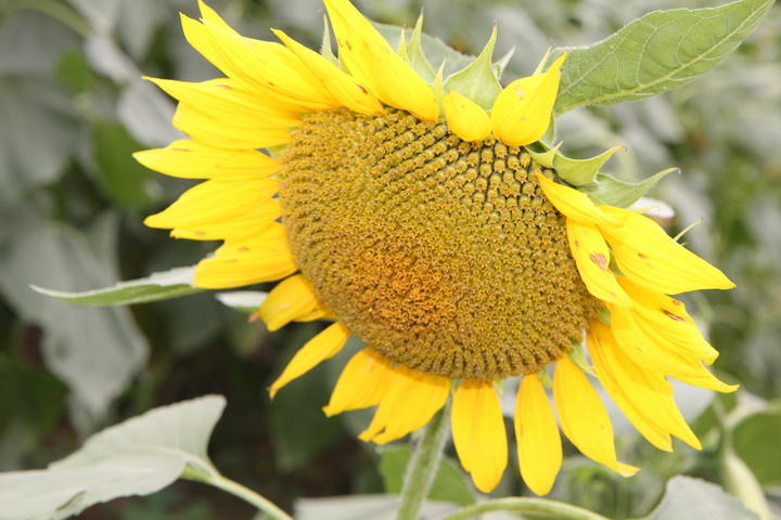 照片 131_调整大小.jpg