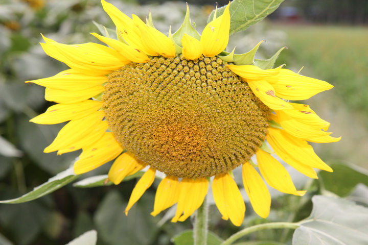 照片 132_调整大小.jpg