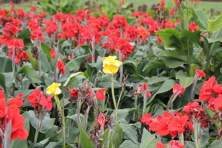 照片 133_调整大小.jpg