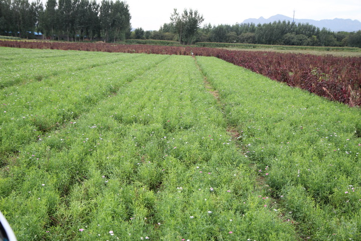 照片 134_调整大小.jpg