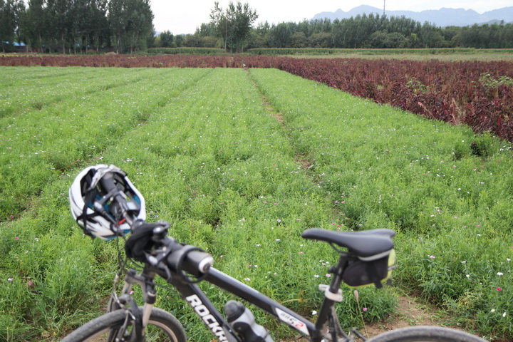 照片 135_调整大小.jpg