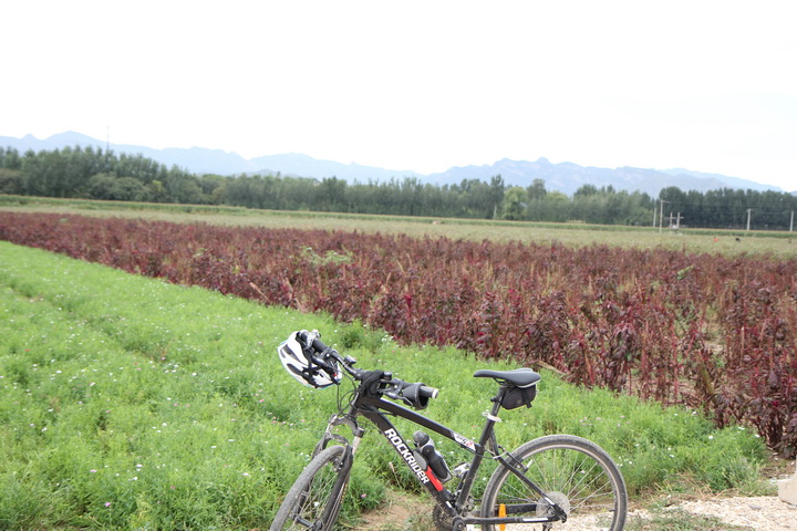 照片 137_调整大小.jpg