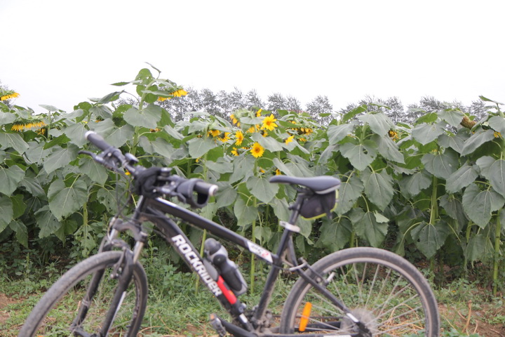 照片 138_调整大小.jpg