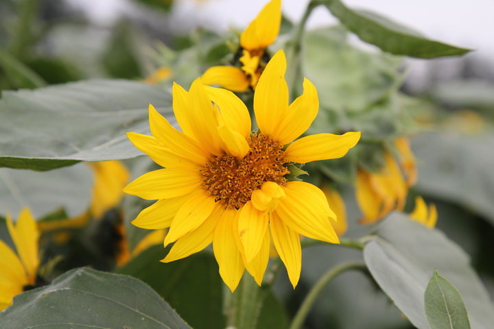 照片 139_调整大小.jpg