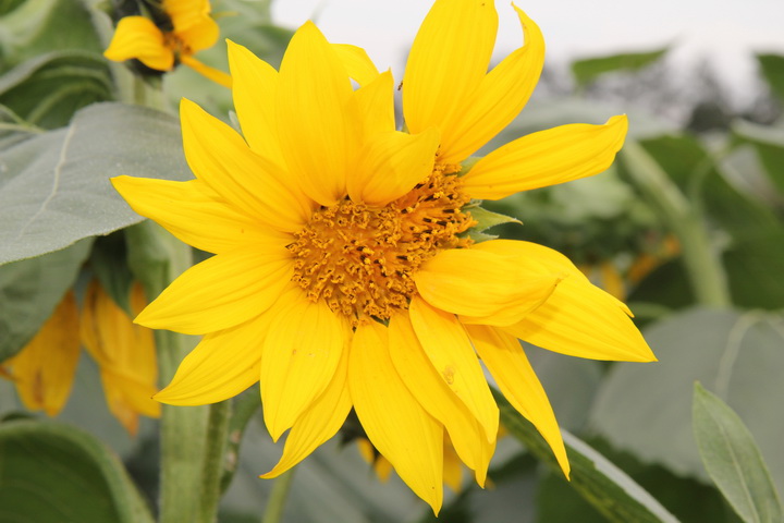 照片 140_调整大小.jpg