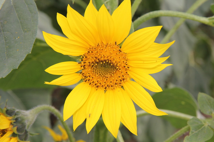 照片 141_调整大小.jpg