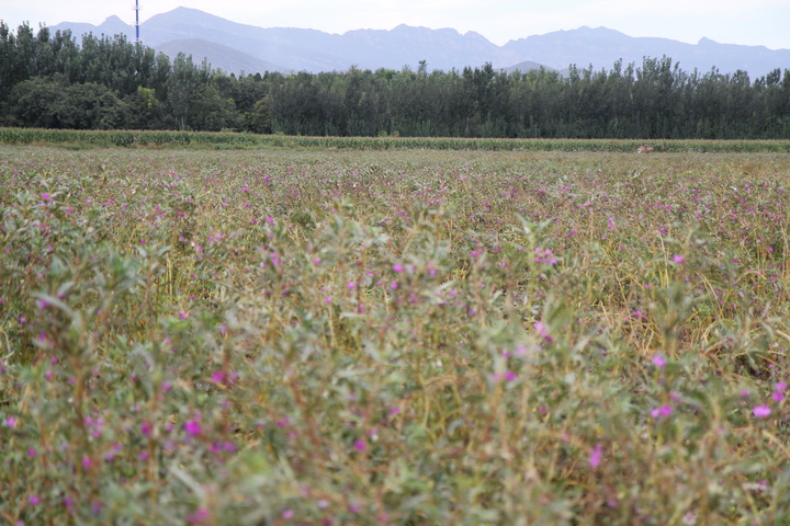 照片 144_调整大小.jpg