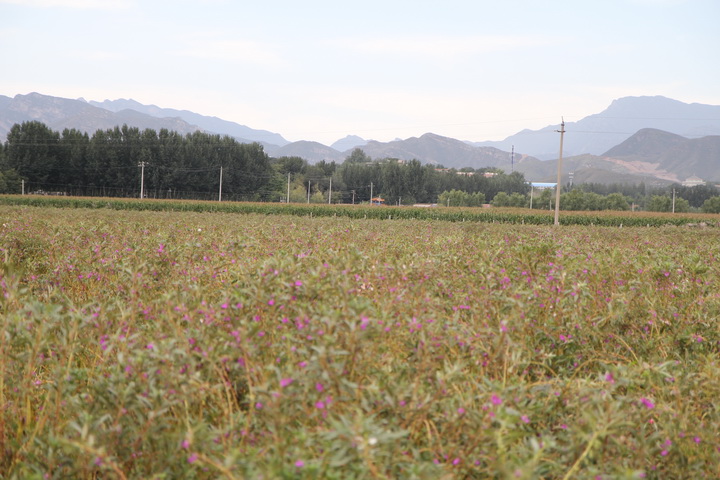 照片 145_调整大小.jpg