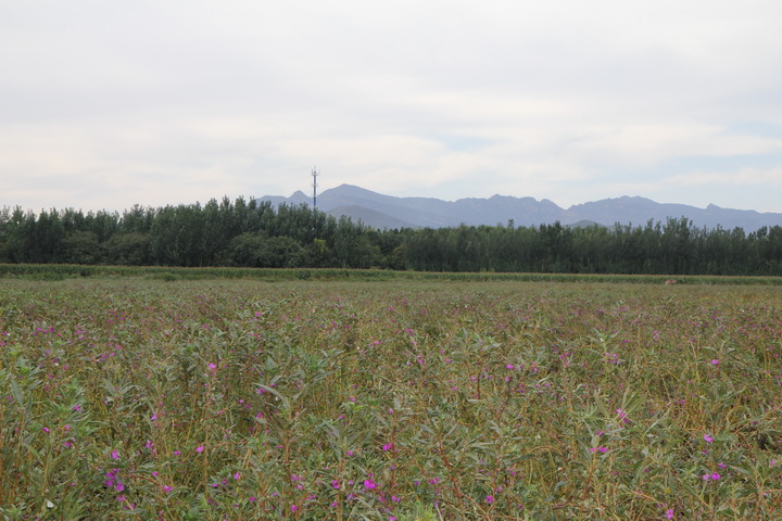 照片 146_调整大小.jpg