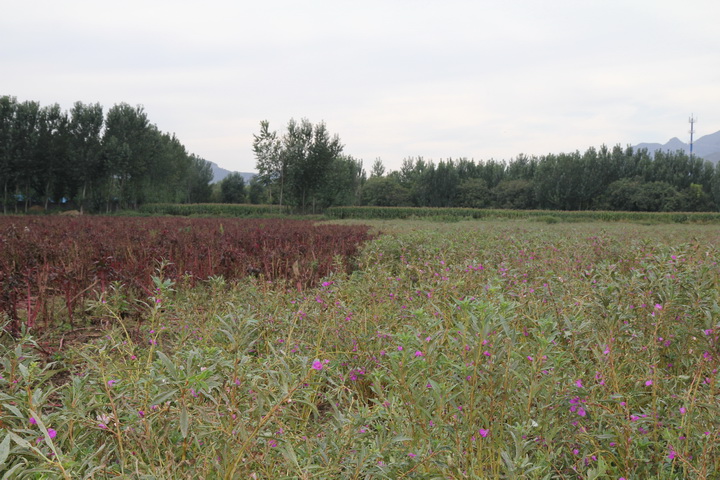 照片 148_调整大小.jpg