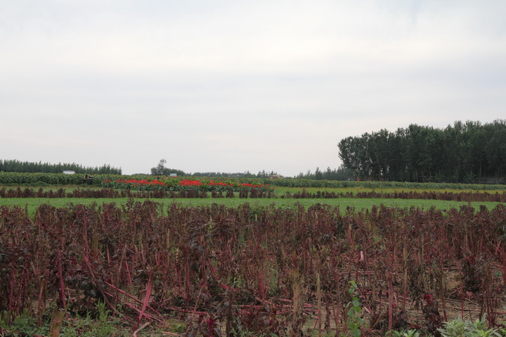 照片 149_调整大小.jpg