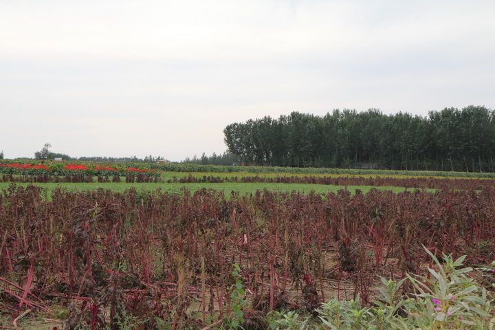 照片 150_调整大小.jpg