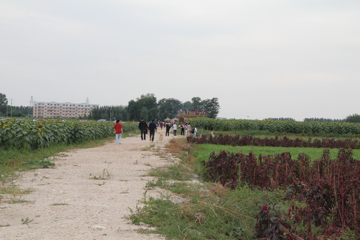 照片 151_调整大小.jpg