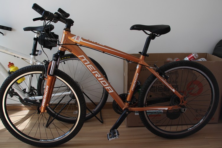 2011款美利达公爵300