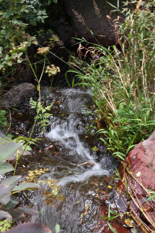 溪流2.jpg