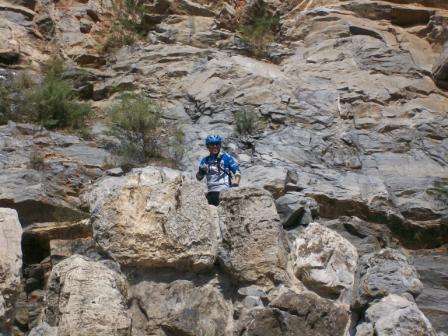 别藏啦！！都看见你啦！