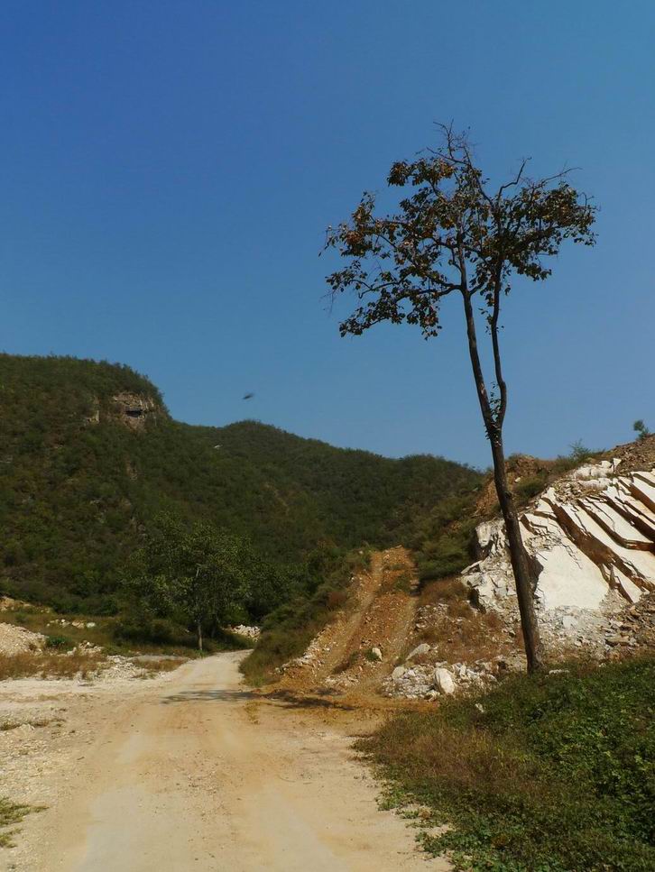 调整大小 调整大小 P1070491.JPG