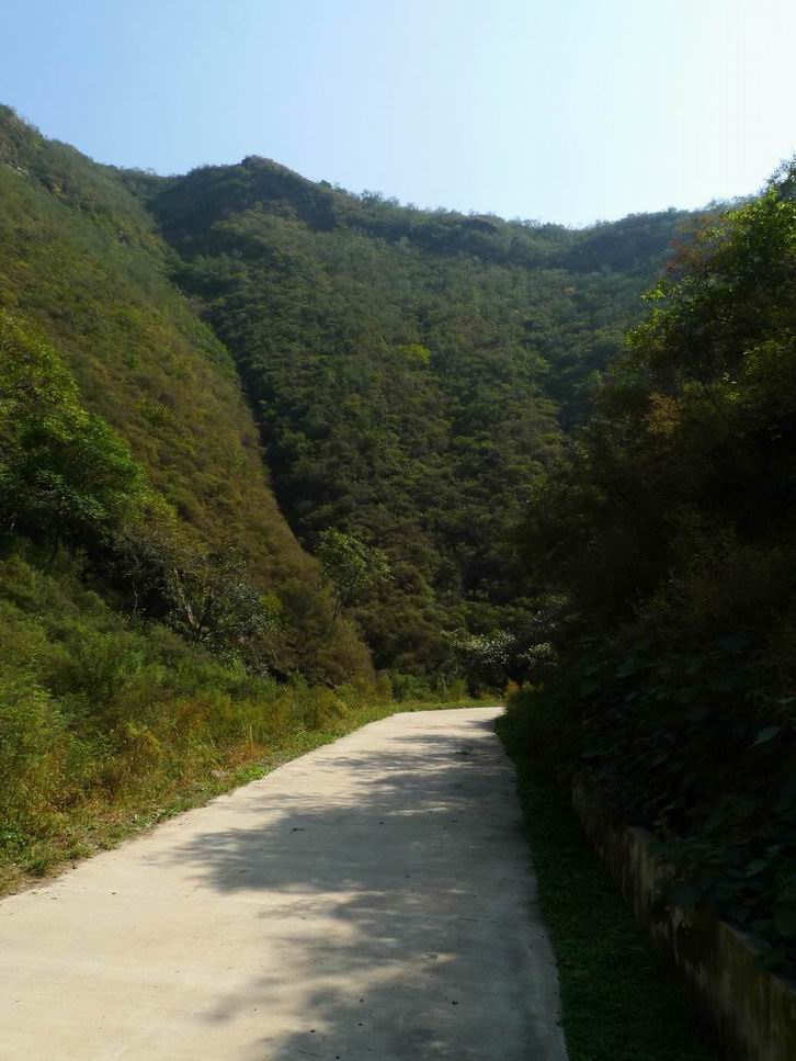 调整大小 调整大小 P1070493.JPG