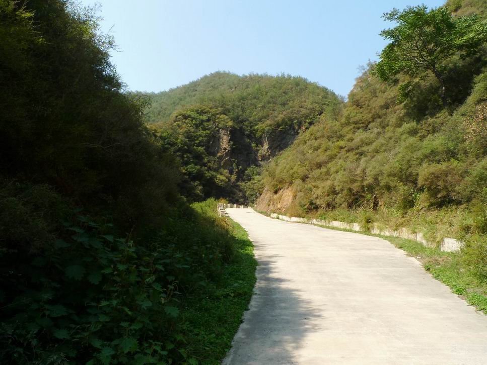 调整大小 调整大小 P1070494.JPG