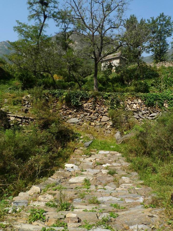 调整大小 调整大小 P1070496.JPG