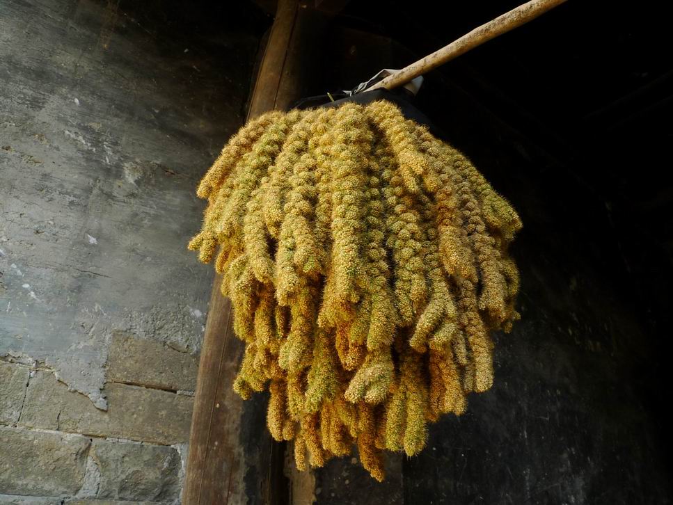 调整大小 调整大小 P1070527.JPG