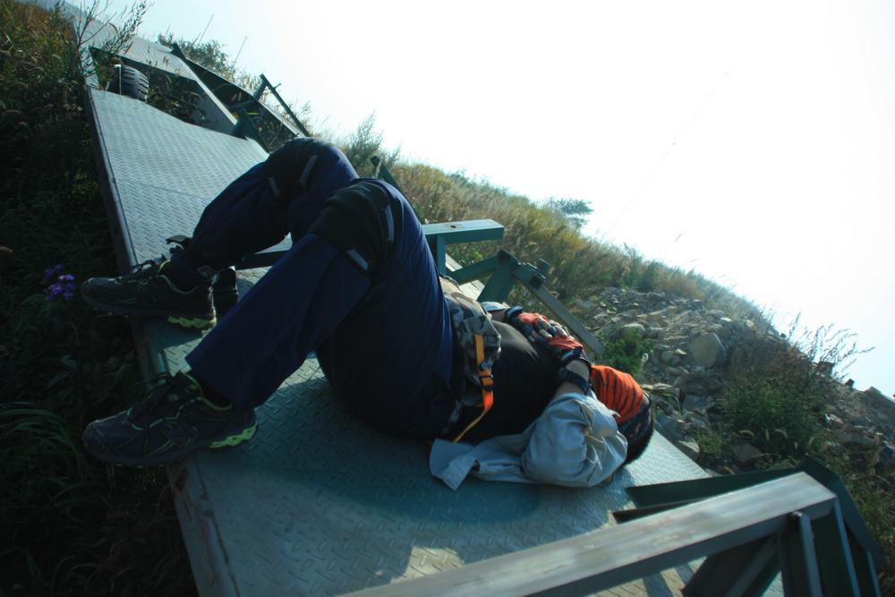 DG同志睡着了。。