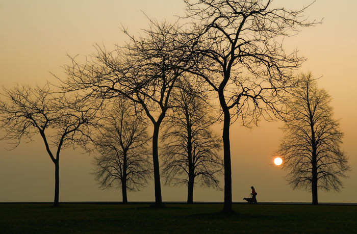 Dog walker at sunrise.jpg